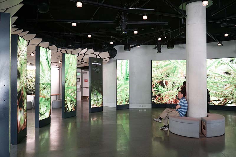 Visiting Seattle Amazon Spheres with Young Toddler